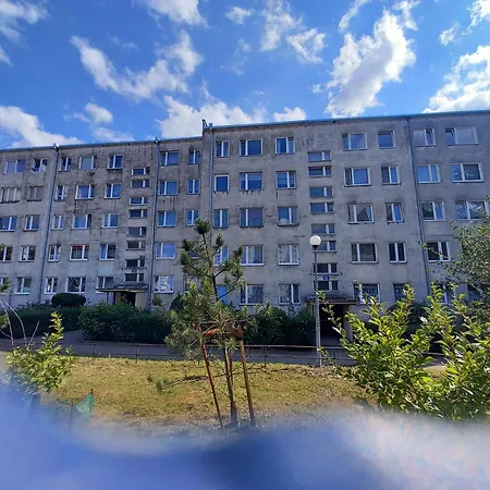 Zwykle Mieszkanie Dla Zwyklych Ludzi 바우브자이치